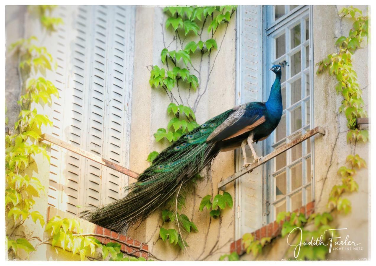 Le Relais Du Doubs En Bourgogne Bed & Breakfast Ciel Bagian luar foto